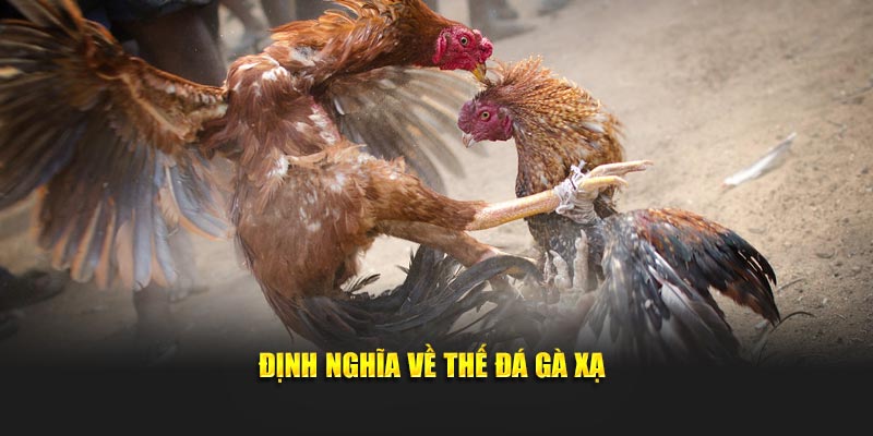 Định nghĩa về thế đá gà xạ