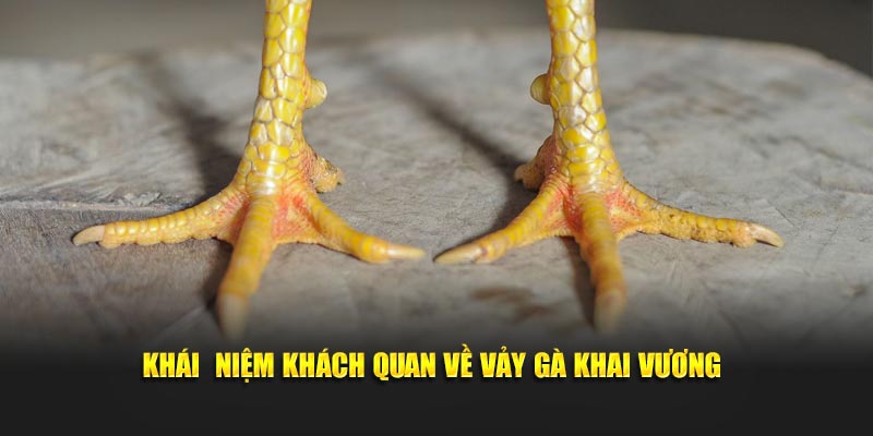 Khái niệm khách quan về vảy gà khai vương