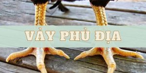 Vảy Phủ Địa Là Gì? Đặc Điểm, Phân Loại Chi Tiết